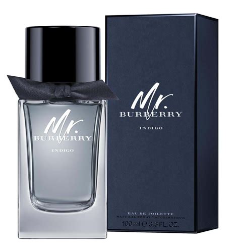 burberry parfum mannen|burberry pour homme.